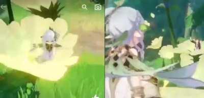 Everything was a lie