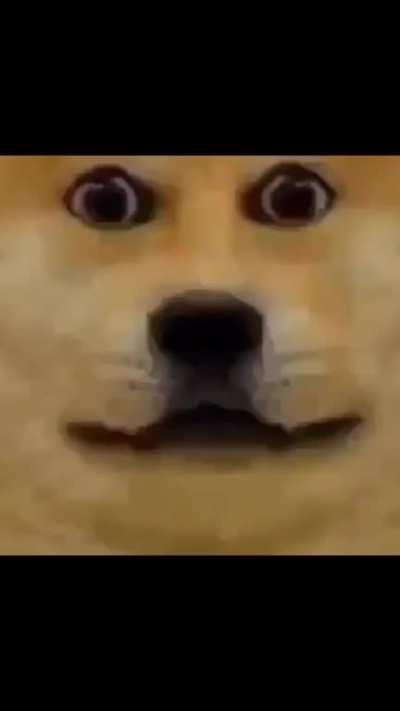 🥰🥰🥰🥰 😘😘😘😘 kiss