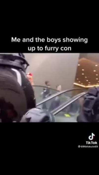Remember,no furrys