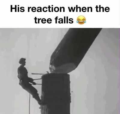 the tree has been unwelded