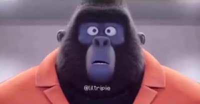 🐵