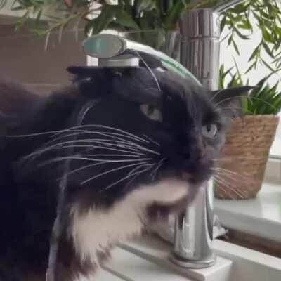 To try to drink water