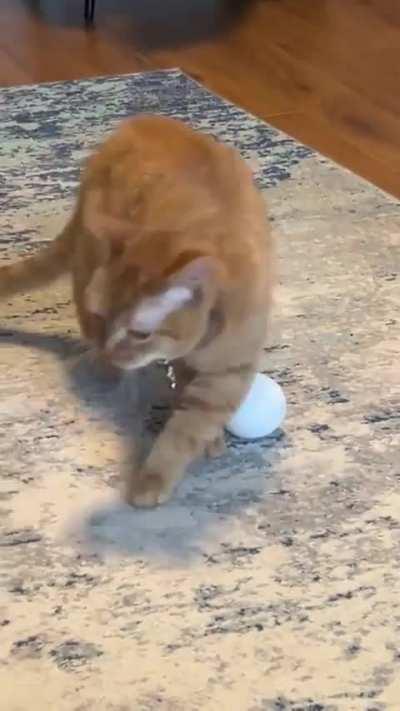 Looks like someone ate a bowl of loudmouth soup