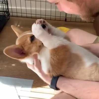 Booo! hooman. Gotcha ❤️