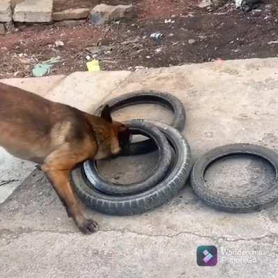 A future IKEA engineer.