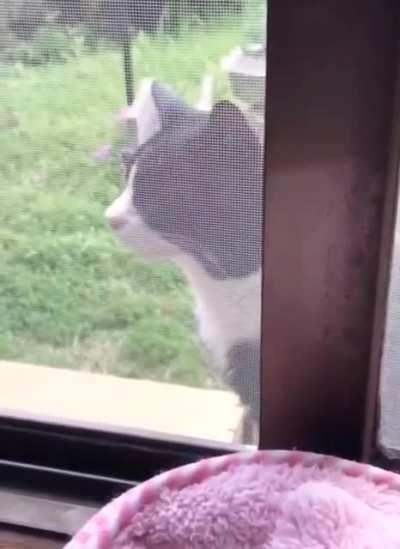 We need a translator.