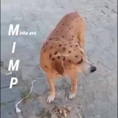 Simp