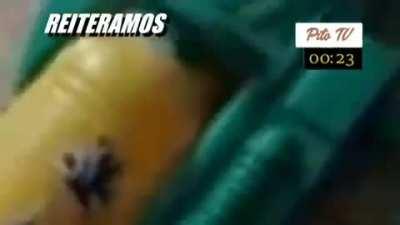 Supongo que aca se pueden mandar memes con estos puteos (si no es asi avisen)