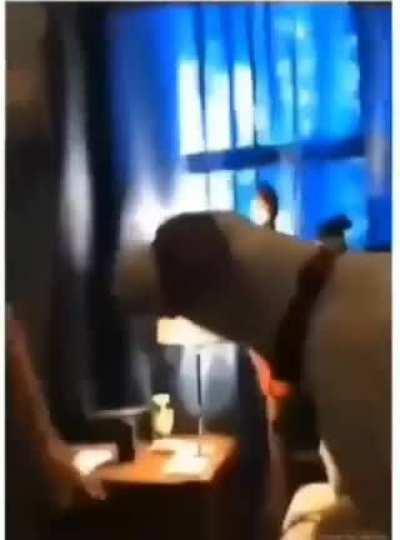 ShEn BaPiRO ShuTs dOwN anOtHeR cOmMUniSt dOG