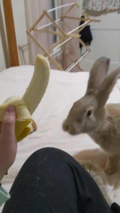 Omfg his tongue 😂