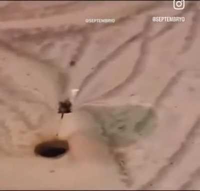 Past the Event Horizon 