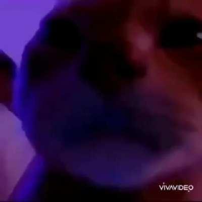 Me waiting for an opponent on a ranked match with absolutely no matchmaking criterias