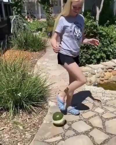 Watermelon games