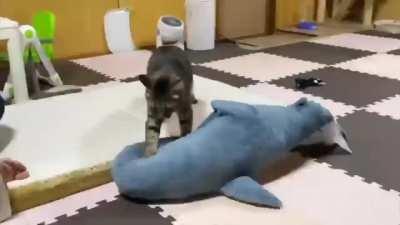 cAt BrUtAlLy PuNcHeS iNnOcEnT sHaRk To DeAtH