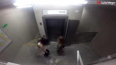 Someone bought this costume for their dog and let him loose