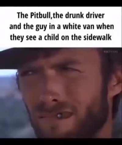 Canis niggus is faster