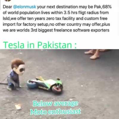 Tesla🇵🇰🦆.