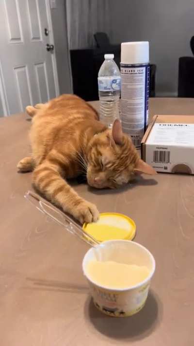 The plan, the execution, the patience. very convincing, and demure😅😂