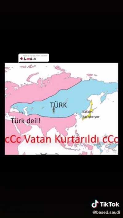 what Australians saw at Gallipoli in ww1