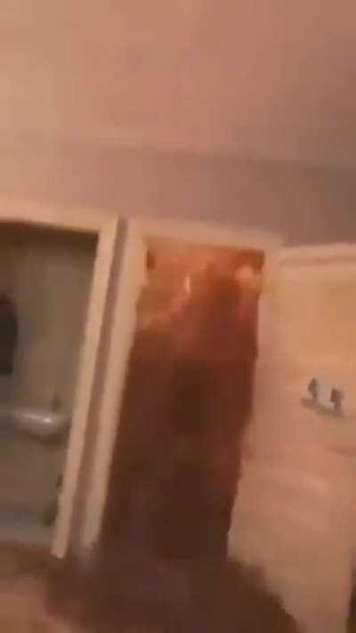 Explosive coke bottle: can be used to summon the toilet elemental