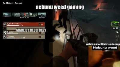nebunu weed gaming episodul 1
