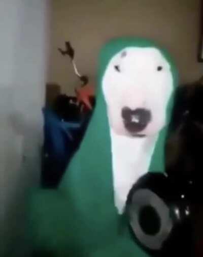 Walter hitting a pan