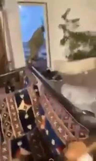 WCGW messing with a hungry dude