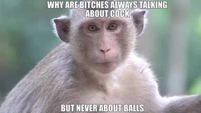 Modal Jazz?? More like Modal JIZZ 🤣😂😂😂😂