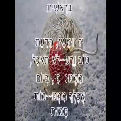 Who knows where I can find more videos like this not screamers just weird