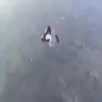 haram ⛔❌ الانفجار الكبير الديك قرد الحلال 🦍🇸🇦🇸🇦🪂