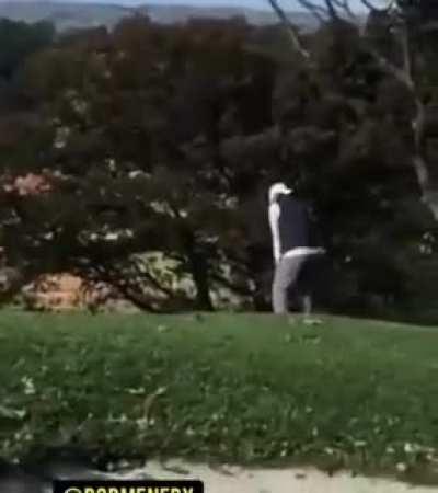 Don't let this distract you