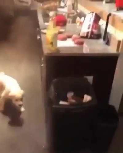 Putting a grease fire into the sink