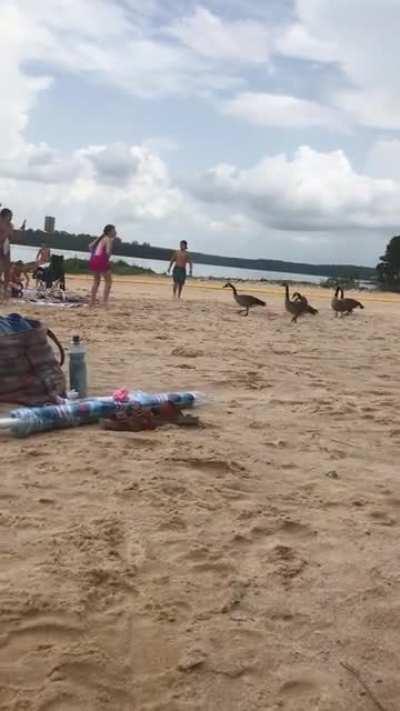 I think I’m about to witness a massacre