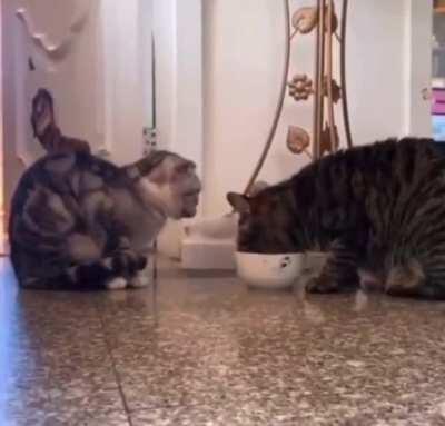 “A joy that’s shared is a joy made double.”