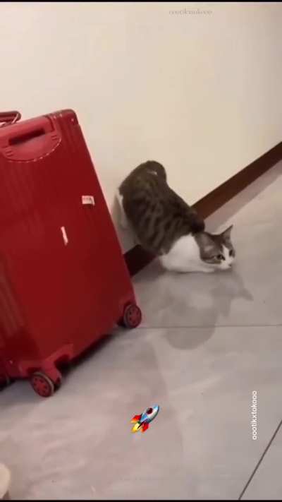 What was that slap for bro