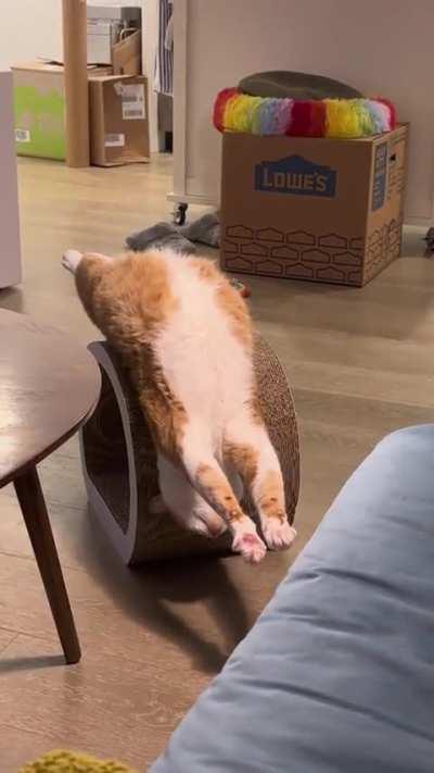 Feed my more, please