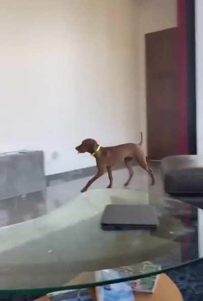 No stick, no evidence