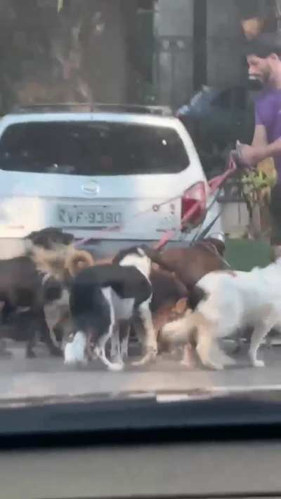 O Rio de Janeiro encanta por suas peculiaridades 