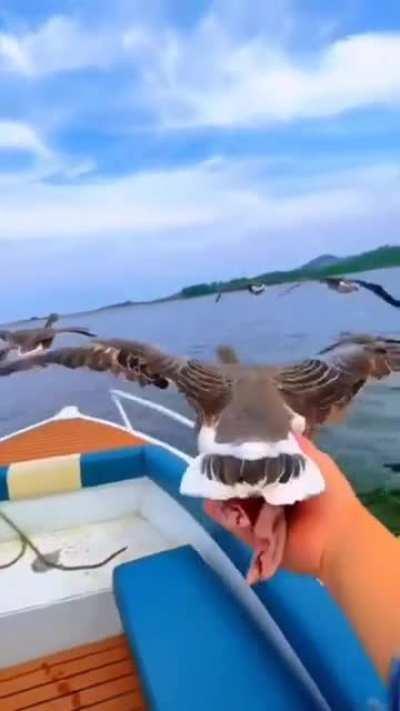 What A Wonderful Moment ! Praise