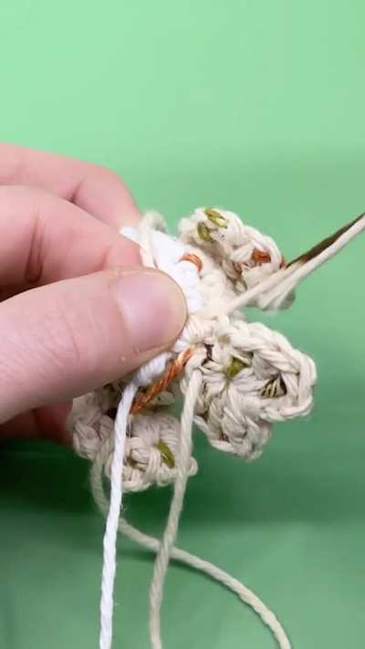 I crocheted a snowy plover with a secret