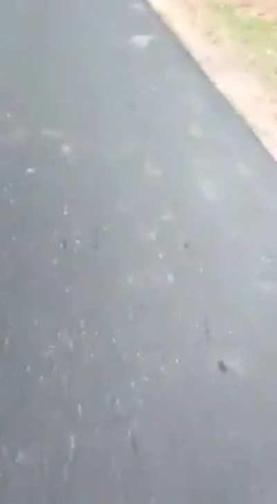 Dalit man dies after being tied to a truck and dragged on a concrete road