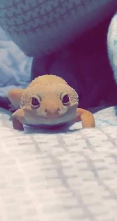 She’s gonna getcha