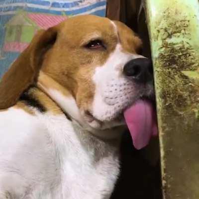 In case of technical difficulties, please pull the tongue out multiples times until the system reboot