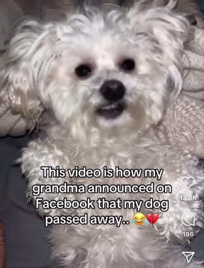 I sincerely believe this isn’t satire