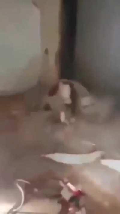 I think they make a tool for that