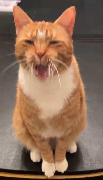 All in the smize for The Baby J