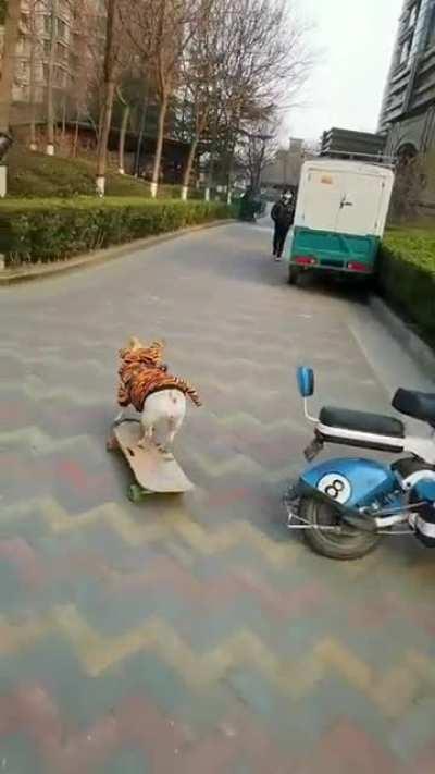 In case you don't know, this is my PE teacher😝