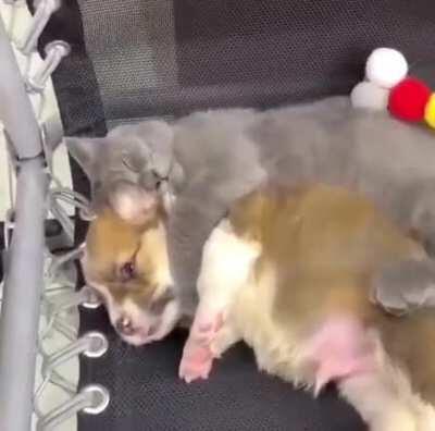 When you’re wide awake but don’t want to interrupt snuggle time