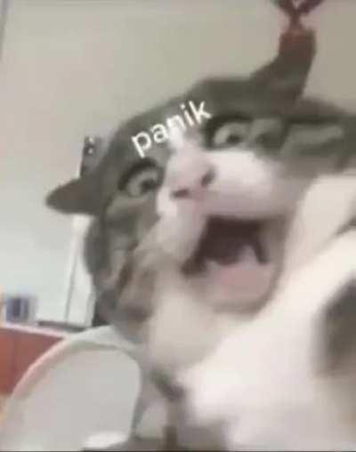 SpongeBob you’re scaring me