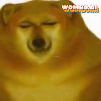 Cheems concert #2: Encore